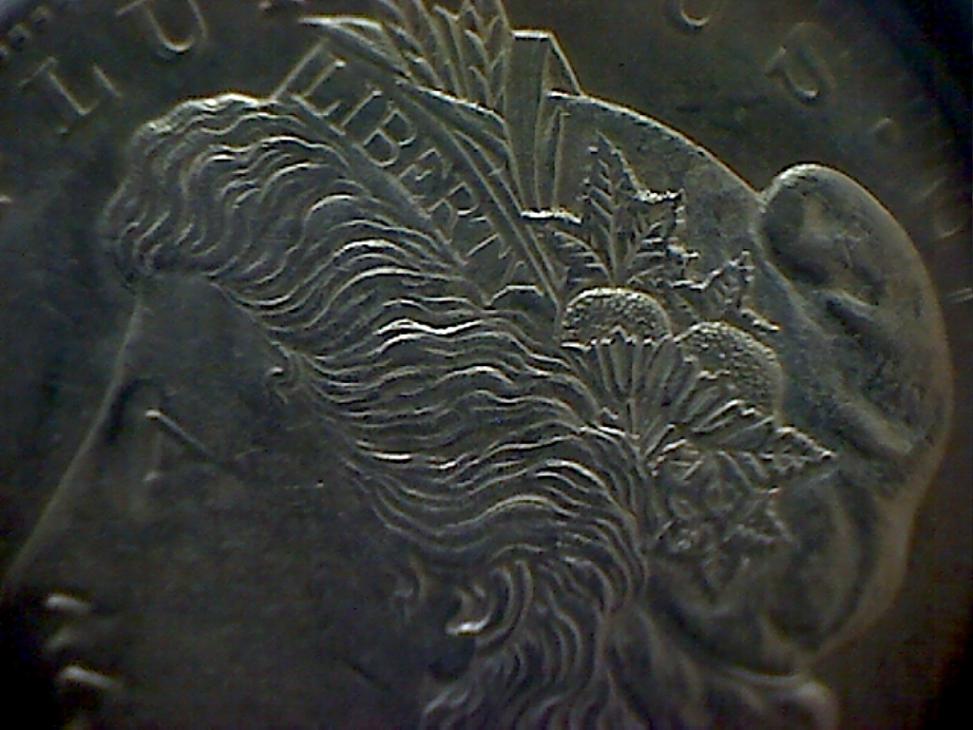 Grade-My-Morgans